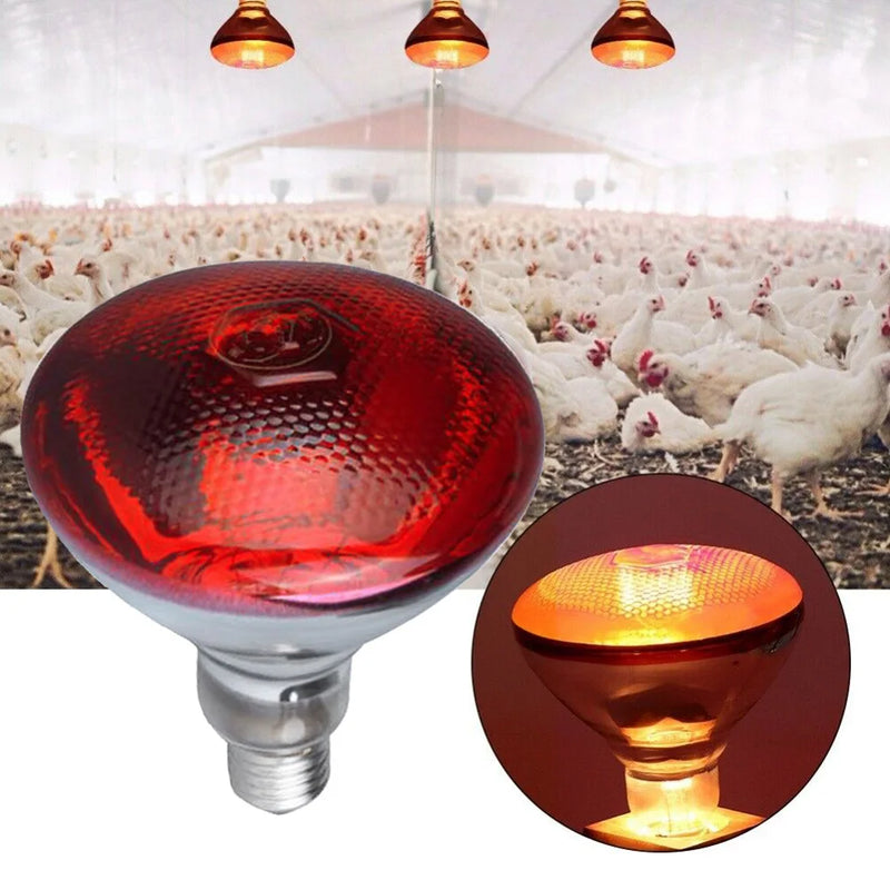 HeatGlow 250W Infrared Heat Lamp for Pets & Birds