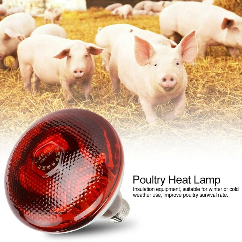 HeatGlow 250W Infrared Heat Lamp for Pets & Birds