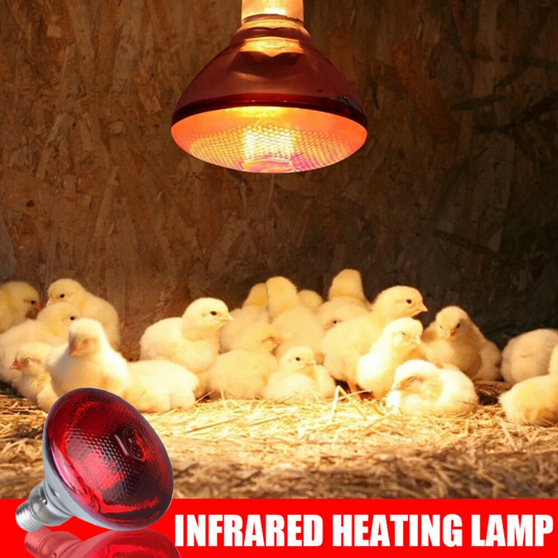 HeatGlow 250W Infrared Heat Lamp for Pets & Birds